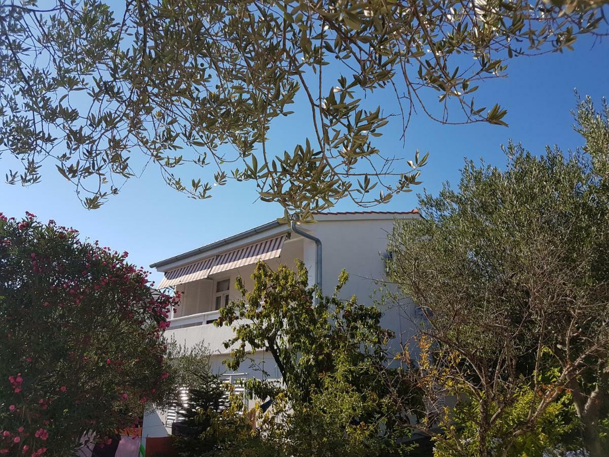 Apartman Roko Petrčane Exterior foto