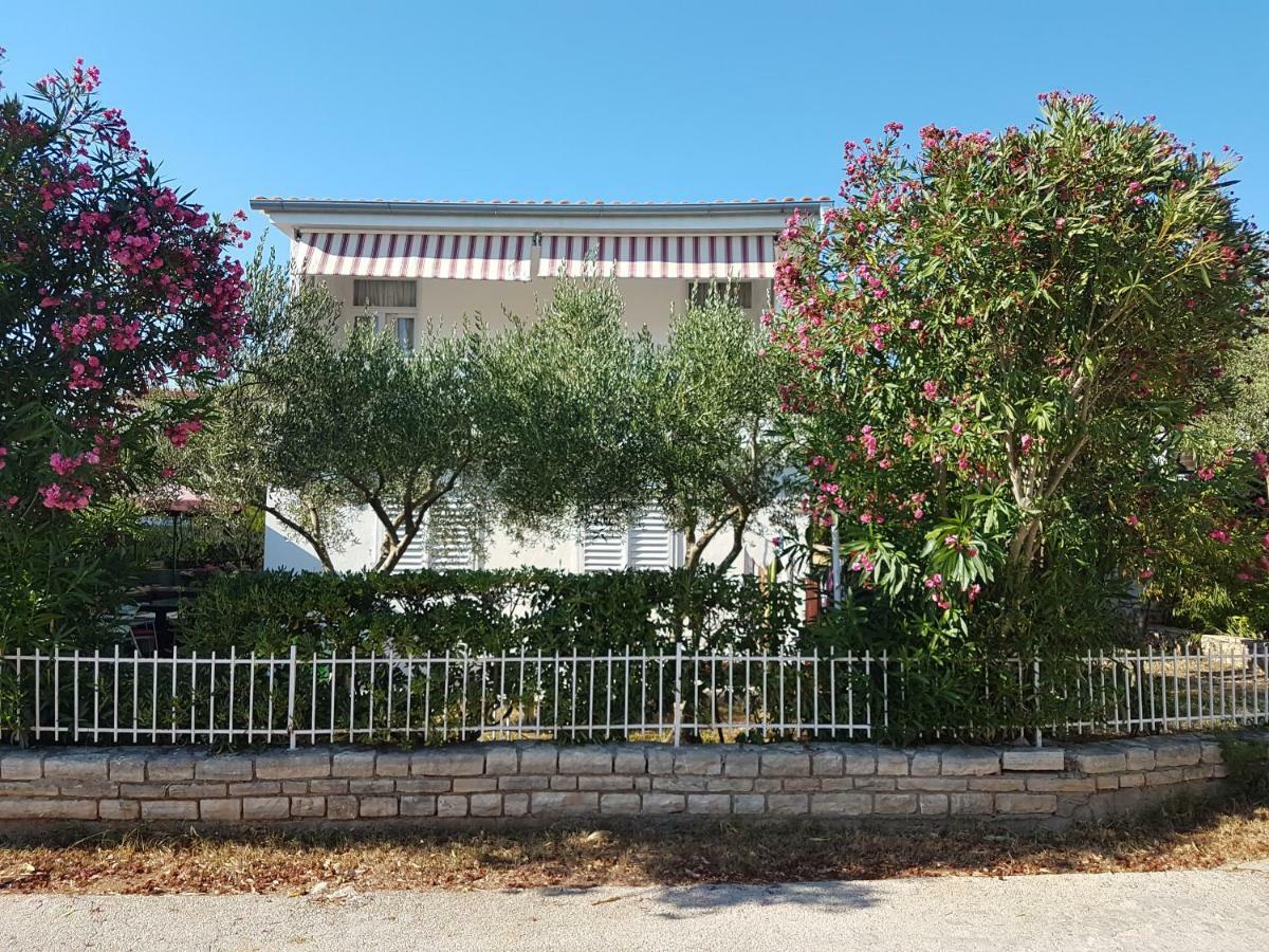 Apartman Roko Petrčane Exterior foto